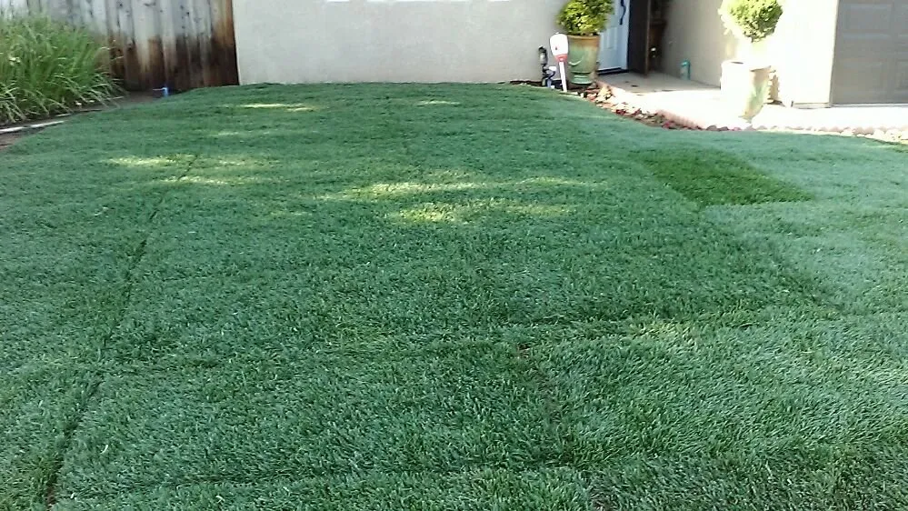 Expert yard cleanup service for homes in Fresno, CA by Lowrider Landscape & Maintanance