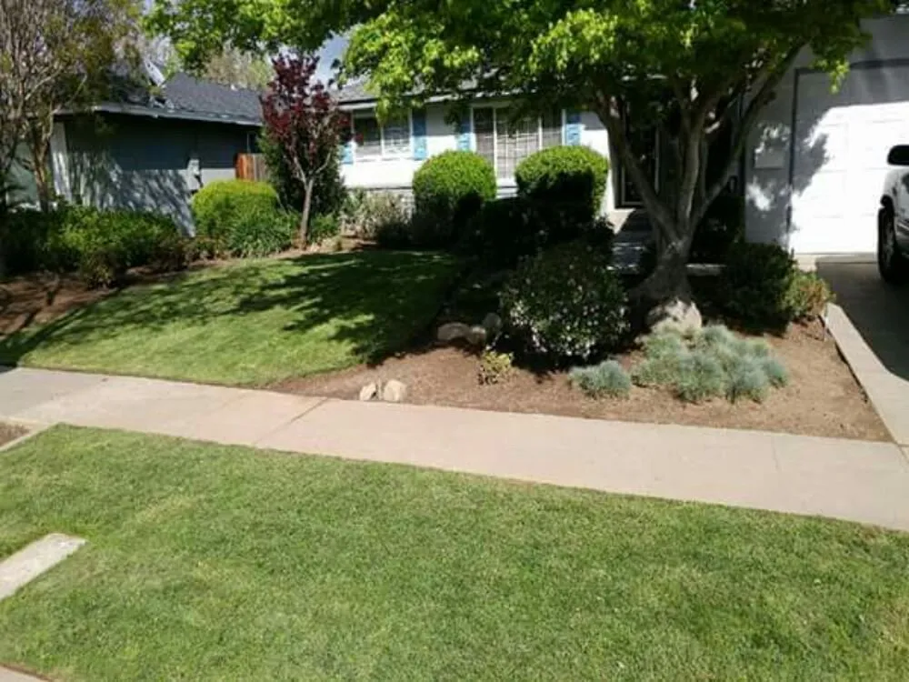 Local lawn mowing service in Fresno, CA by Lowrider Landscape & Maintanance
