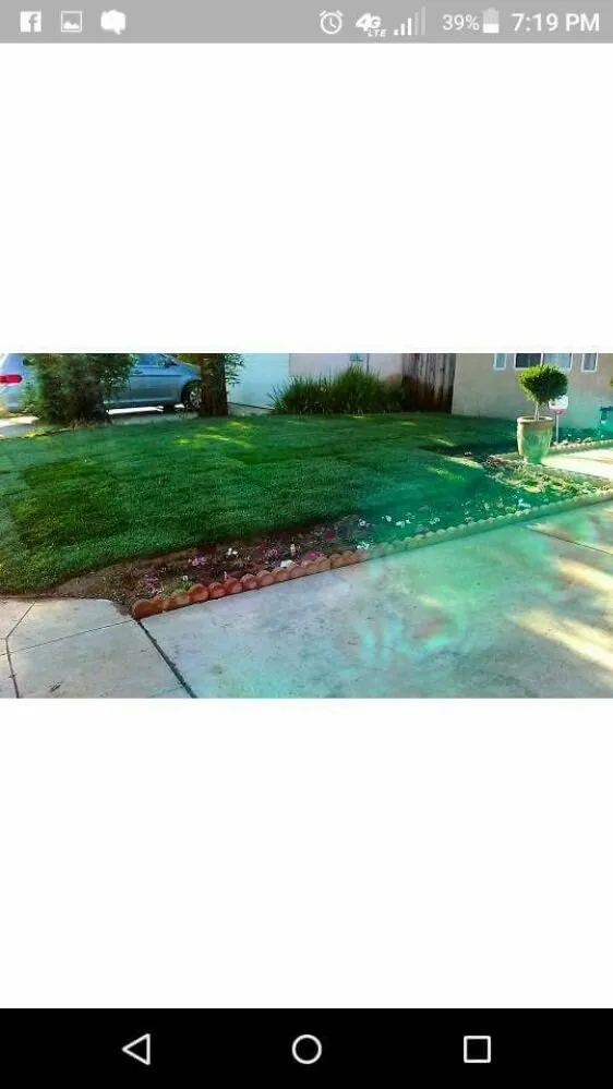 Top-rated landscaping services in Fresno, CA - Lowrider Landscape & Maintanance