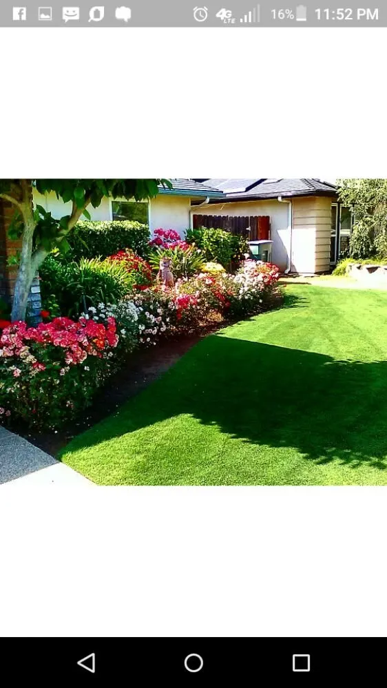 Trusted landscaping services in Fresno, CA - Lowrider Landscape & Maintanance