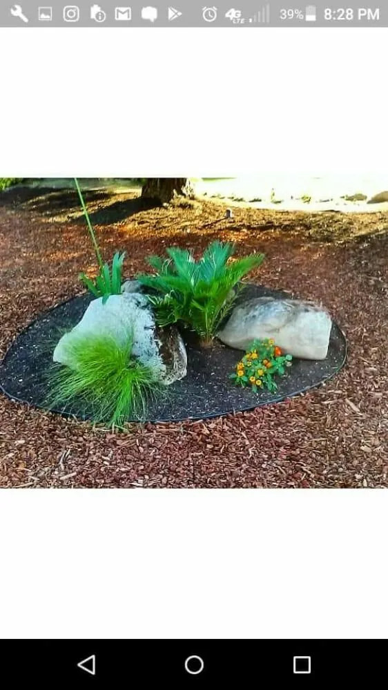 Affordable lawn mowing service for homes in Fresno, CA by Lowrider Landscape & Maintanance