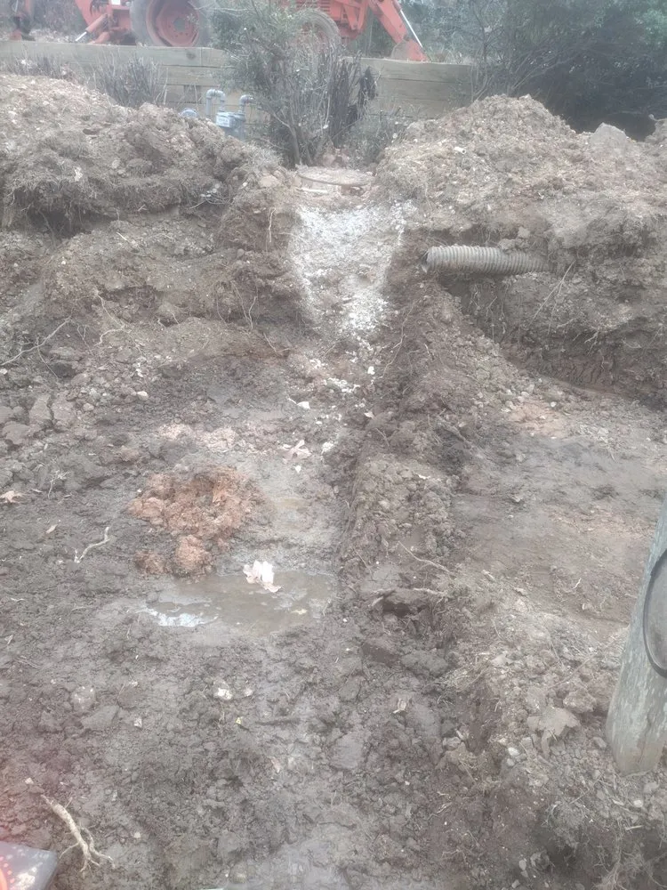 Affordable landscaping services near you across Fayetteville, AR - Lowrider Landscaping