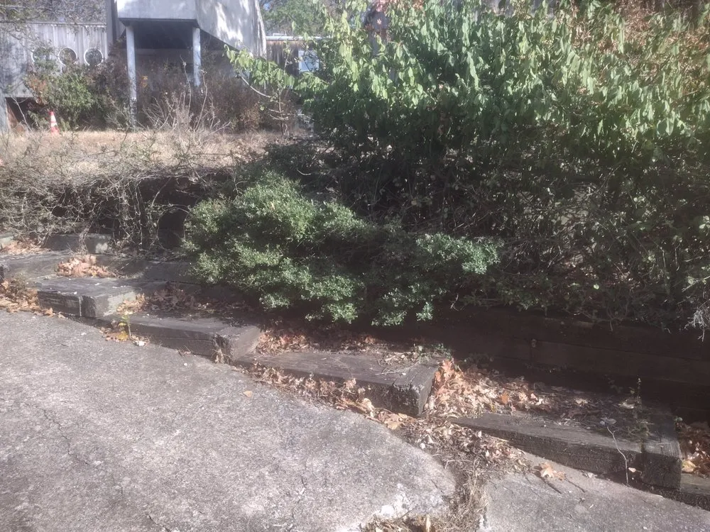 Top-rated outdoor landscaping in Fayetteville, AR - Lowrider Landscaping