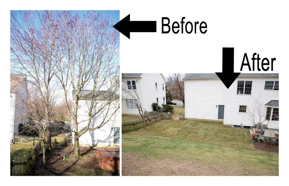 Top-rated lawn care service in Reva, VA by Lowry Douthat's Landscaping & More