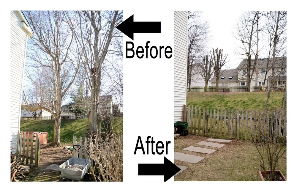 Professional residential landscaping for year-round maintenance in Reva, VA by Lowry Douthat's Landscaping & More