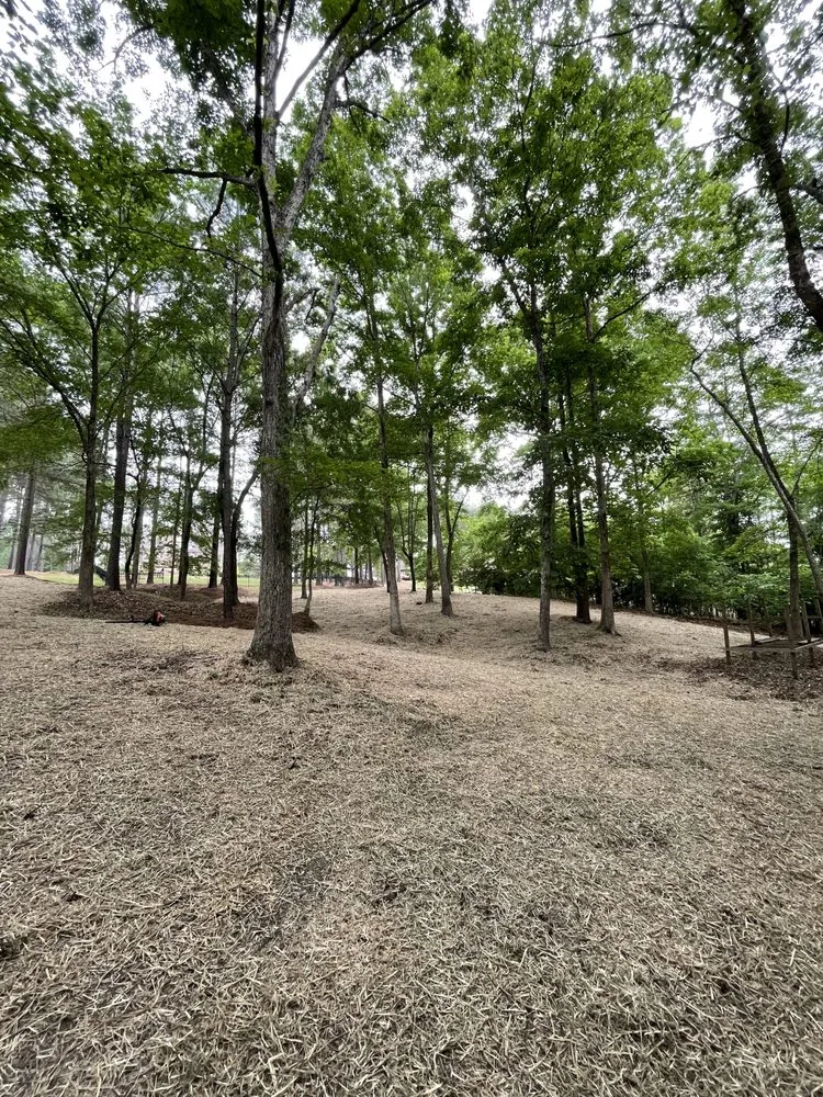 Custom lawn care service for residential properties in Winston Salem, NC by Lowry's Grading