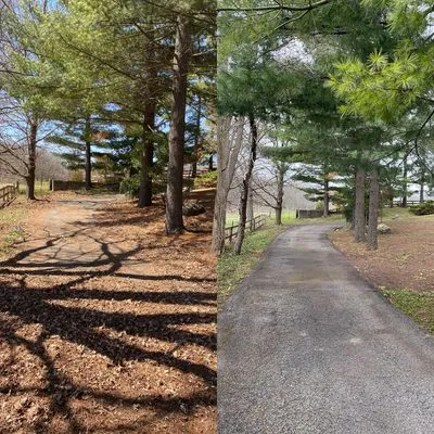 Lowry's Landscaping Logo