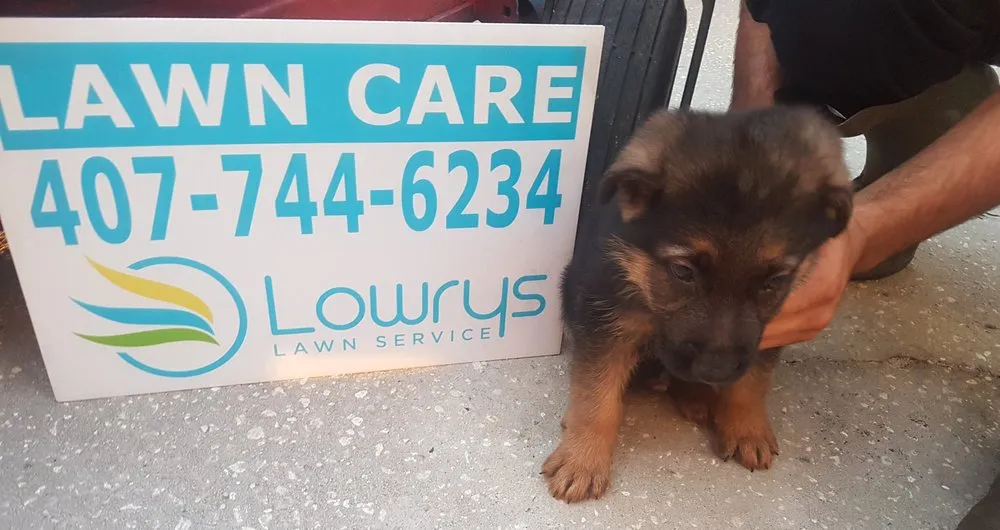 Affordable landscape installation near you across St. Cloud, FL - Lowrys Lawn Service