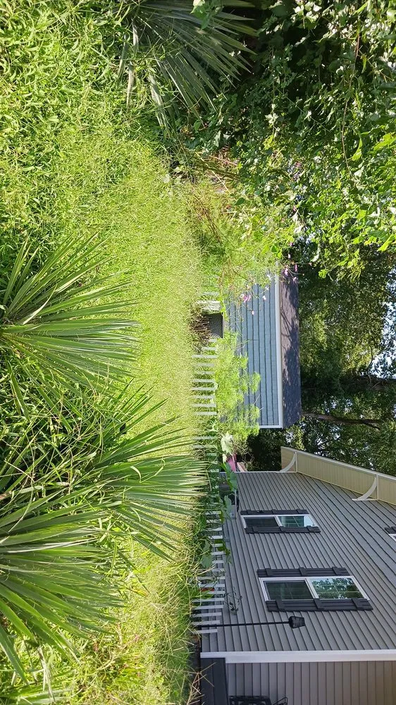 Expert landscape installation near you in Paris, TN by lowry's Lawncare