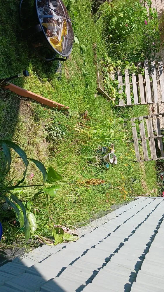 Custom yard maintenance for outdoor upgrades in Paris, TN by lowry's Lawncare