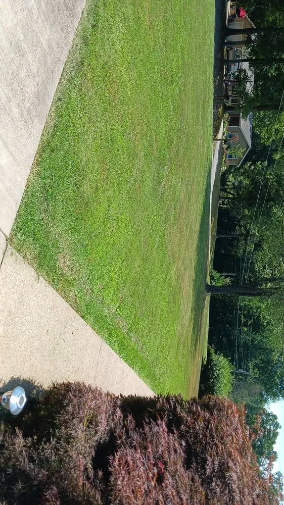 Custom lawn mowing service experts serving Paris, TN - lowry's Lawncare