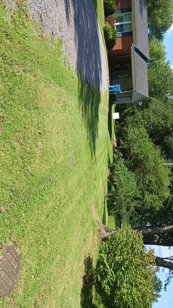 Top-rated garden landscaping in Paris, TN - lowry's Lawncare