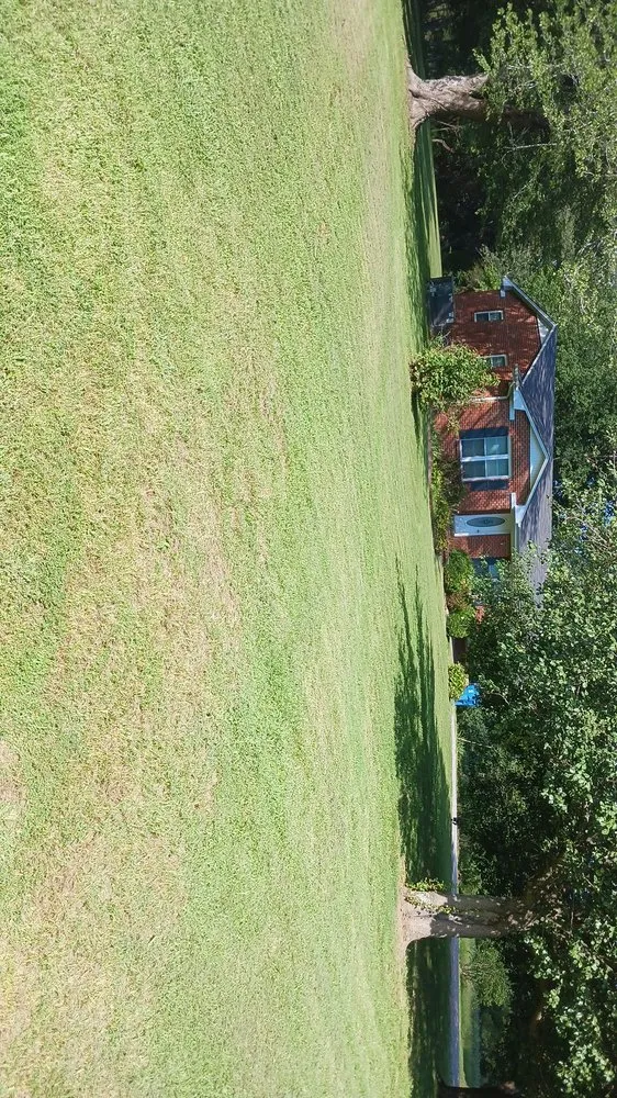 Local residential landscaping experts serving Paris, TN - lowry's Lawncare