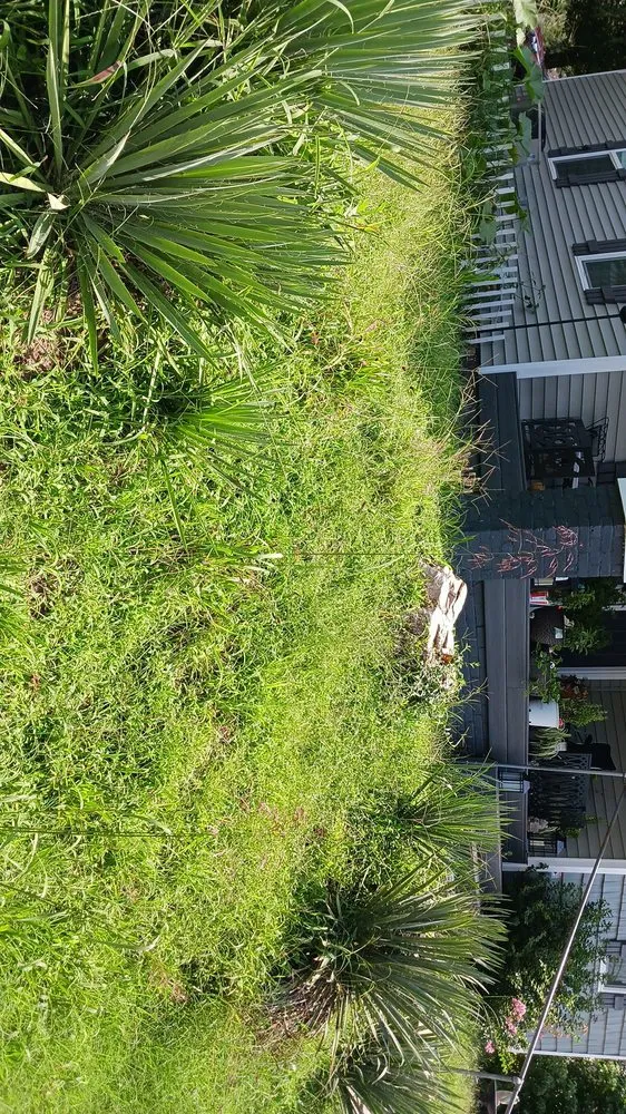 Top-rated landscaping services in Paris, TN - lowry's Lawncare