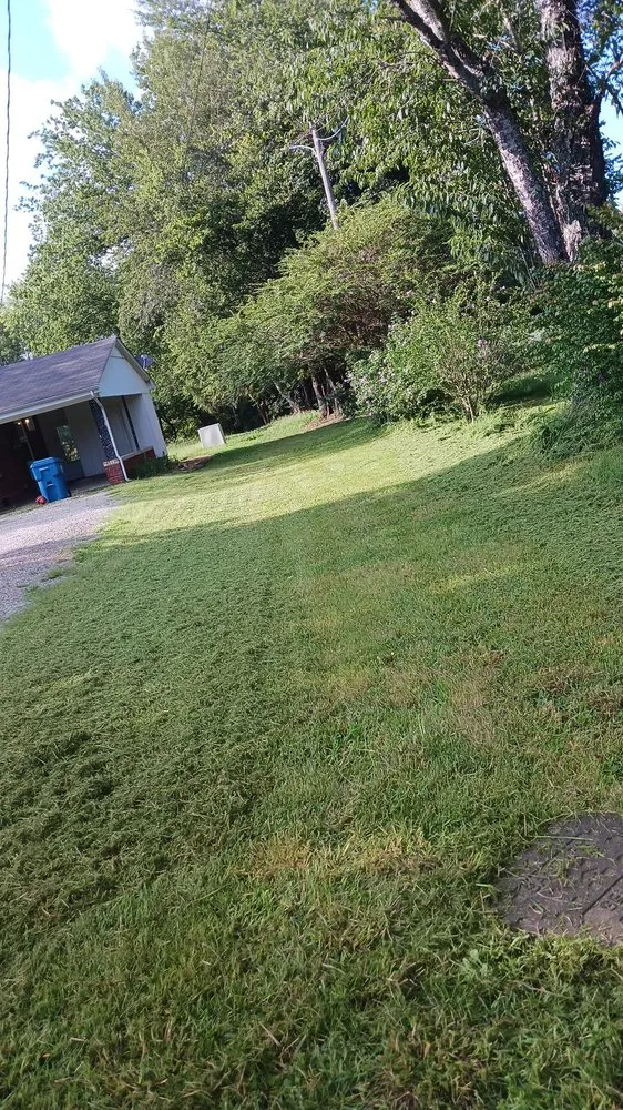 Trusted yard maintenance with custom design across Paris, TN - lowry's Lawncare