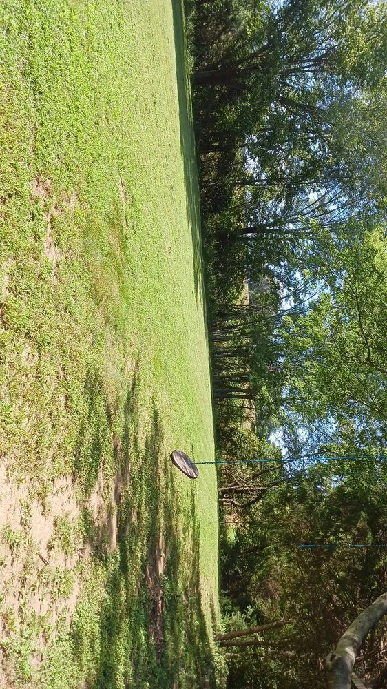 Reliable lawn mowing service in Paris, TN by lowry's Lawncare