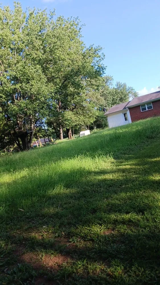 Professional yard cleanup service for homes across Paris, TN - lowry's Lawncare