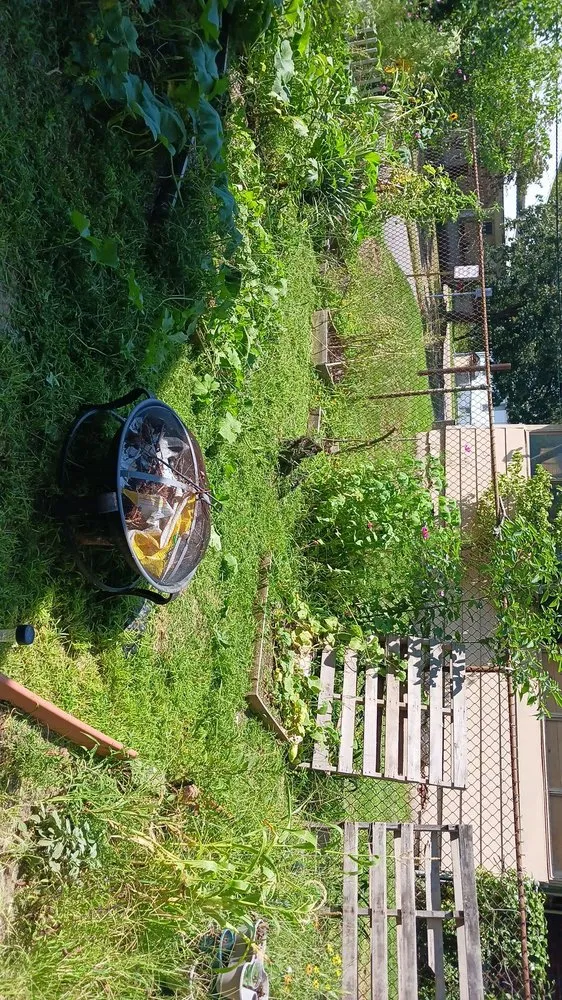 Expert landscape design experts serving Paris, TN - lowry's Lawncare