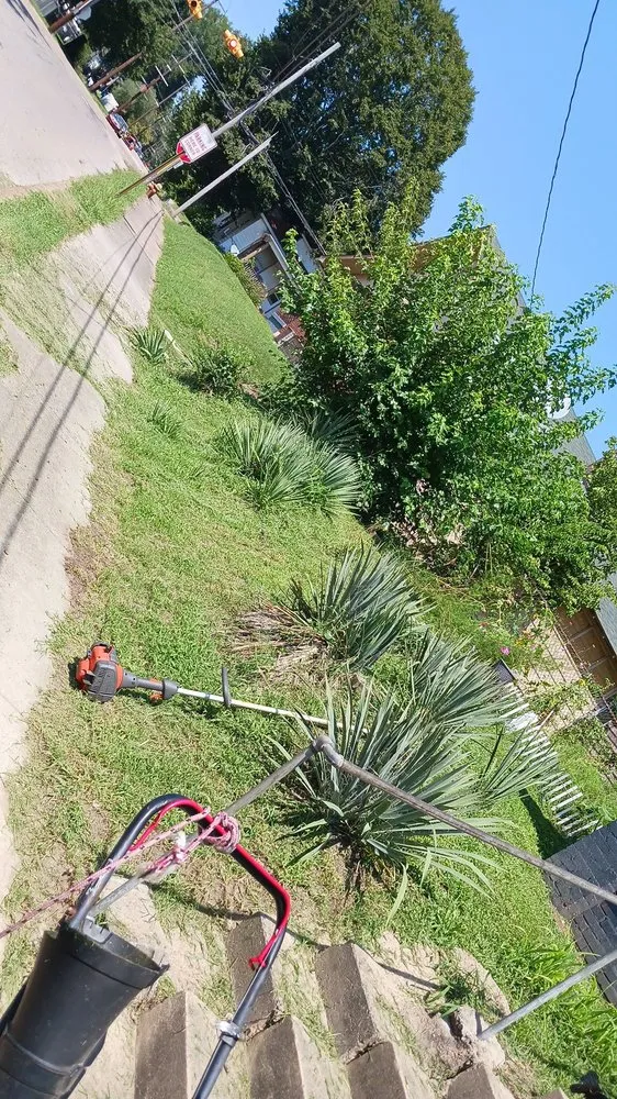 Local lawn mowing service in Paris, TN by lowry's Lawncare