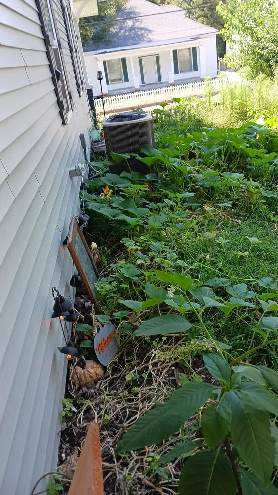 Affordable yard maintenance experts serving Paris, TN - lowry's Lawncare