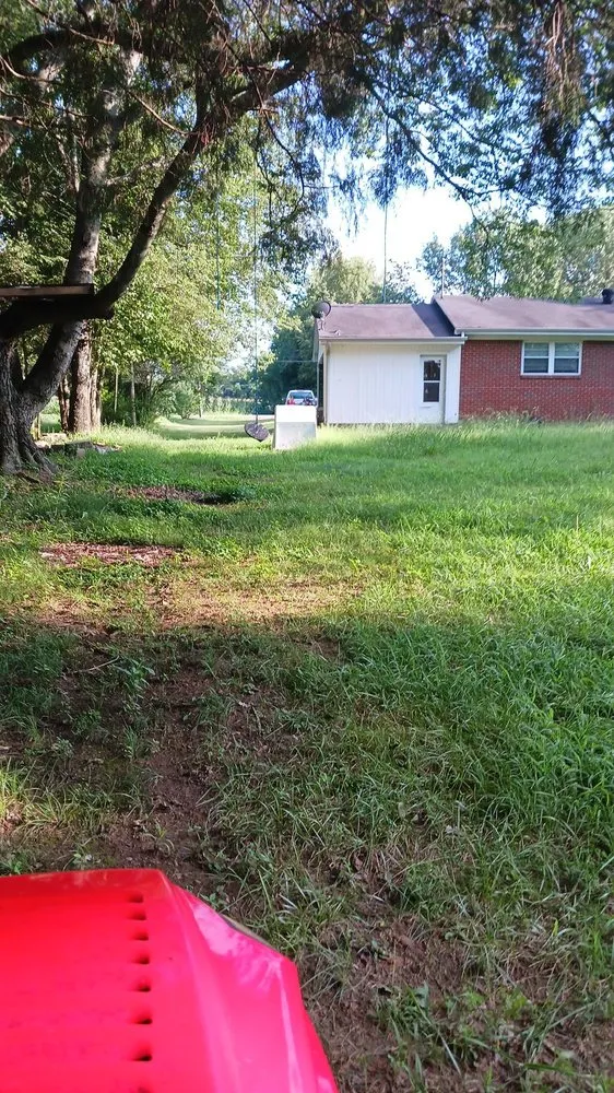 Trusted yard cleanup service for year-round maintenance in Paris, TN by lowry's Lawncare