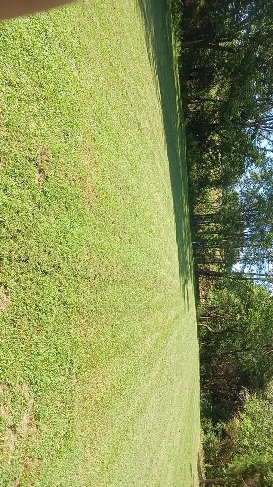 Affordable yard cleanup service experts serving Paris, TN - lowry's Lawncare