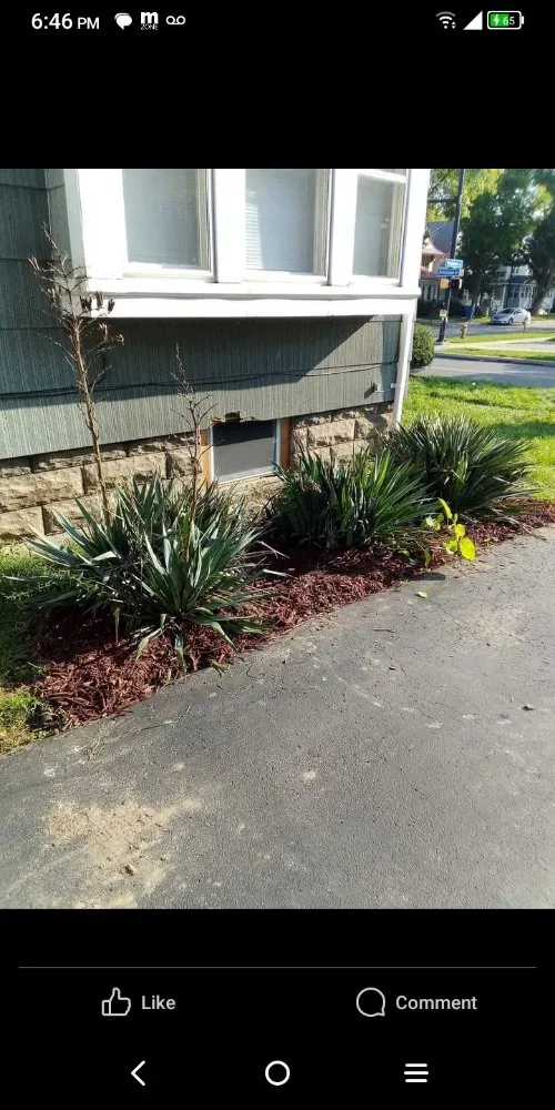 Expert lawn mowing service with custom design in Irondequoit, NY by Lows Contracting