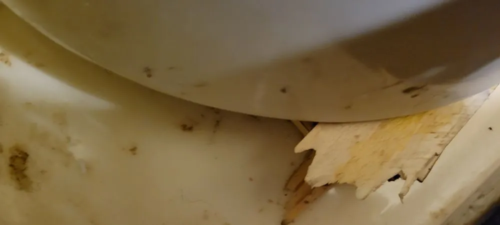 Expert yard maintenance experts serving Irondequoit, NY - Lows Contracting