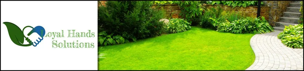 Trusted landscape installation in Columbus, GA by Loyal Hands Solutions