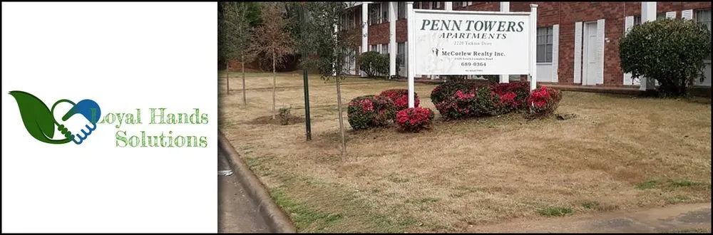 Custom garden landscaping experts serving Columbus, GA - Loyal Hands Solutions