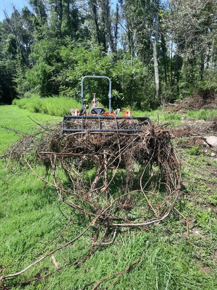 Custom yard maintenance in Newton, NJ - Loyal Land & Home Services