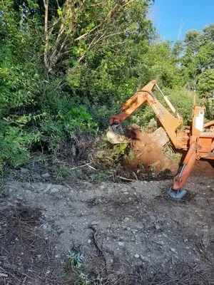 Loyal Land & Home Services