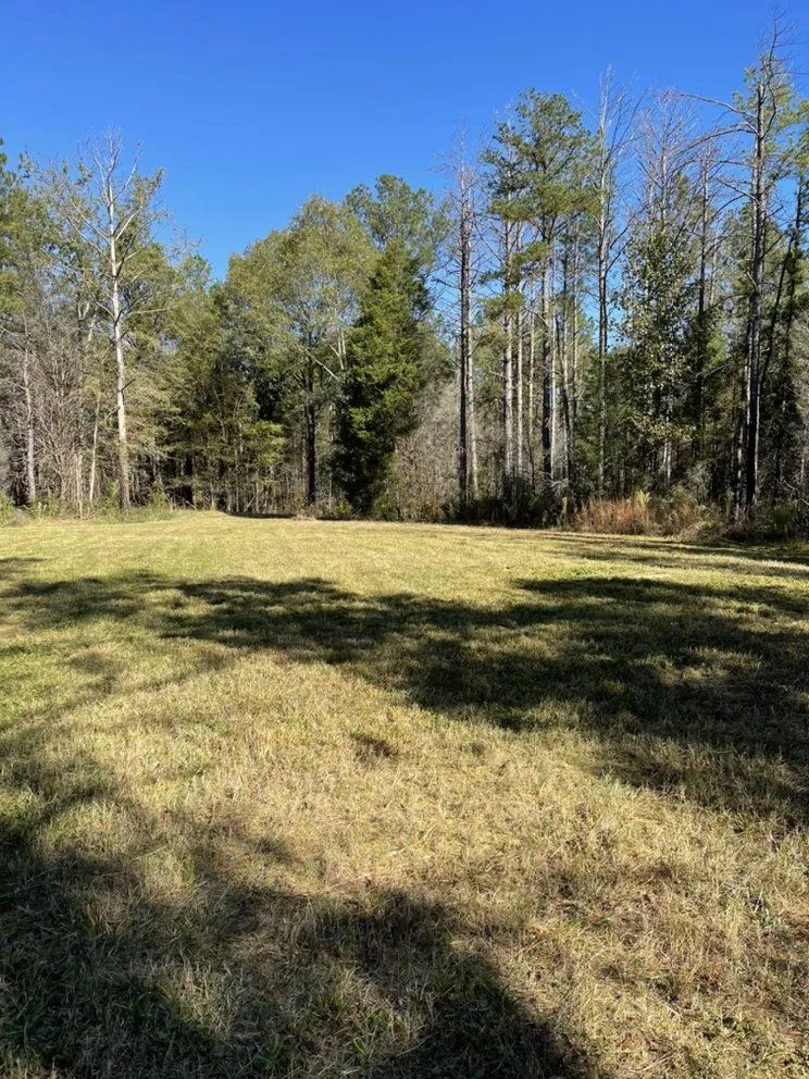 Local lawn mowing service in Rock Hill, SC by Loyal Landscape