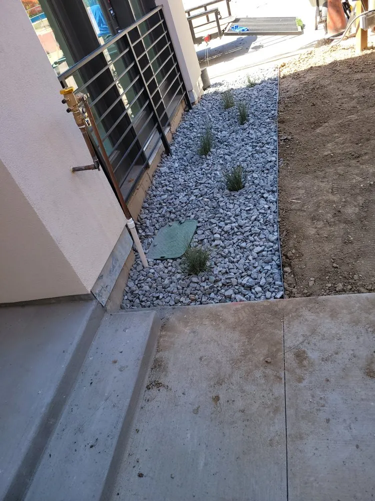 Custom landscape design in Denver, CO - Loyal Landscaping