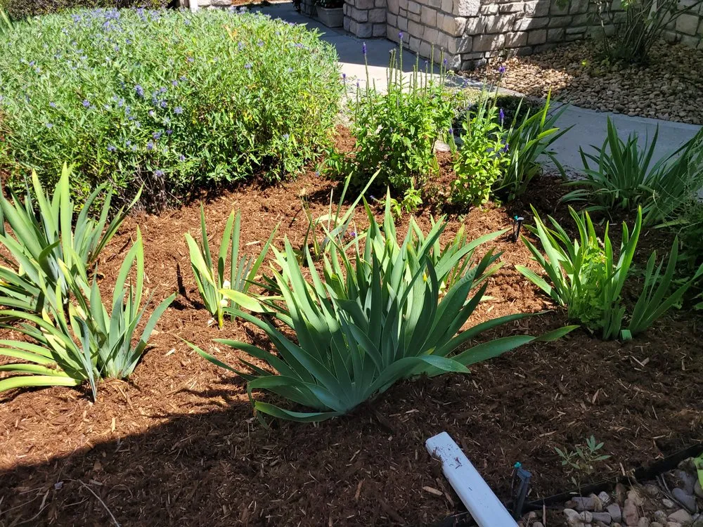 Reliable garden landscaping in Denver, CO by Loyal Landscaping