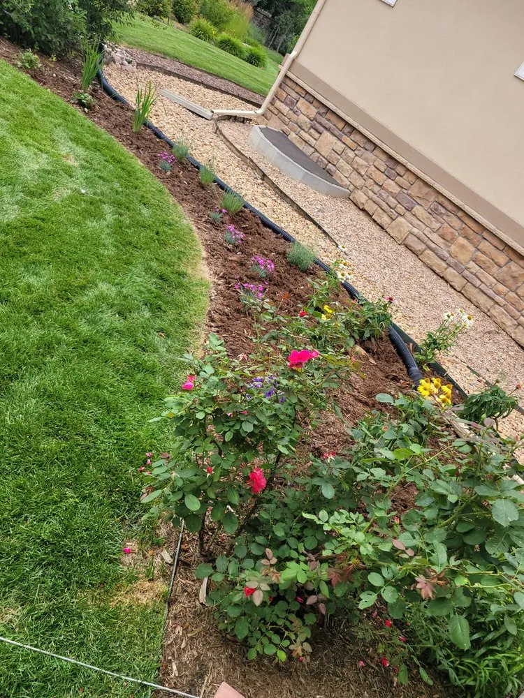 Affordable yard cleanup service experts serving Denver, CO - Loyal Landscaping