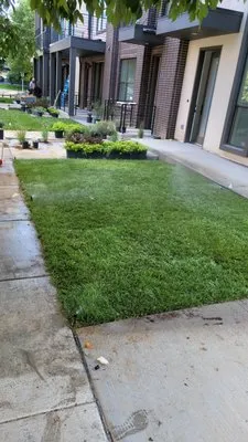 Loyal Landscaping Logo