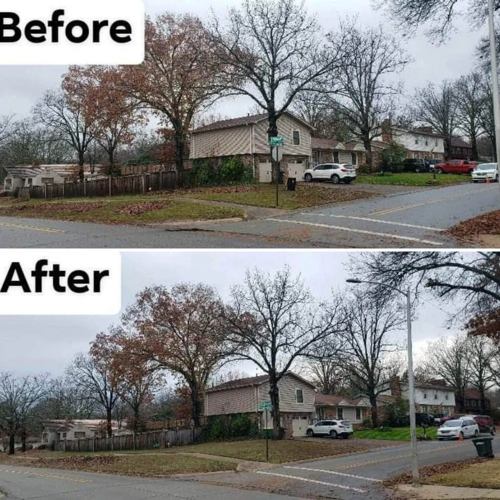 Reliable garden landscaping experts serving North Little Rock, AR - Loyal Landscaping