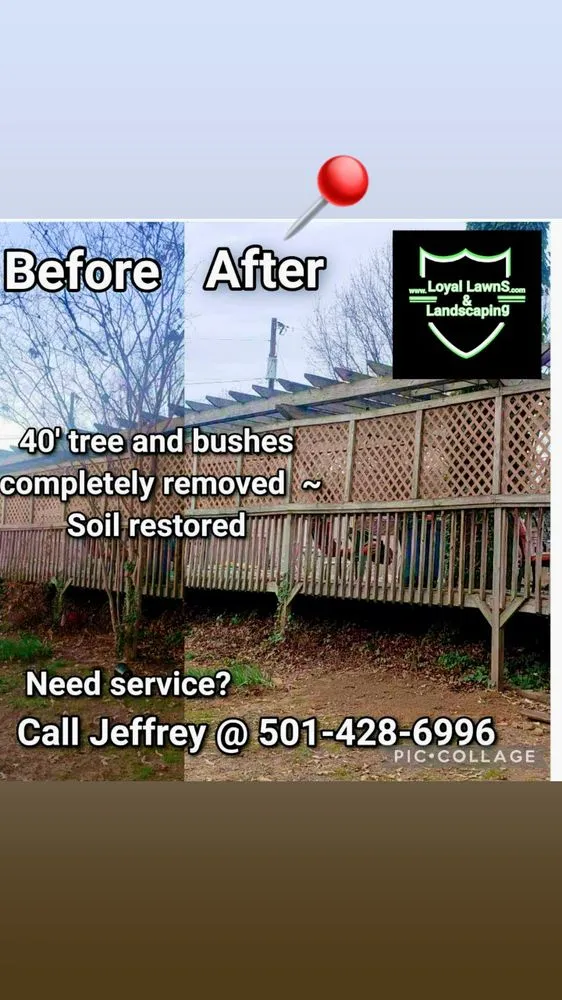Affordable yard cleanup service in North Little Rock, AR - Loyal Landscaping