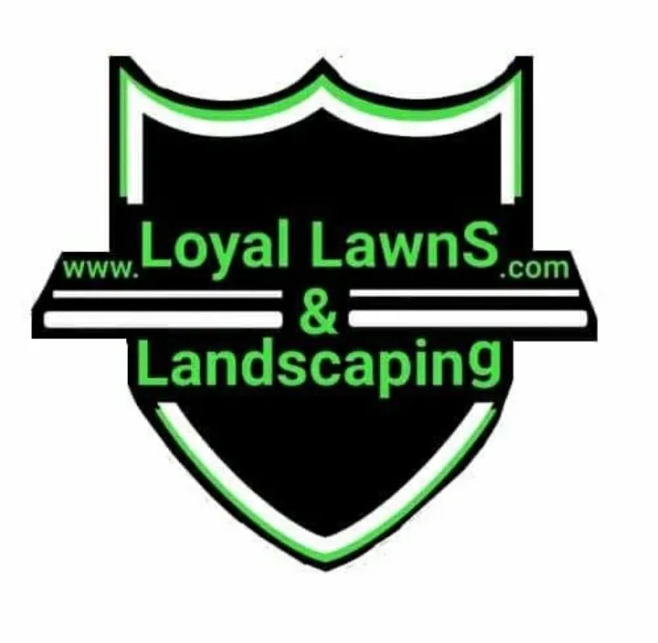 Professional yard cleanup service in North Little Rock, AR - Loyal Landscaping