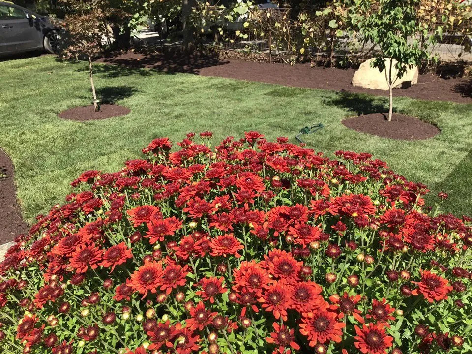 Professional landscape design for outdoor upgrades across Wallkill, NY - Loyal Landscaping