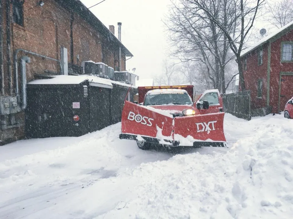 Trusted yard cleanup service in Wallkill, NY by Loyal Landscaping