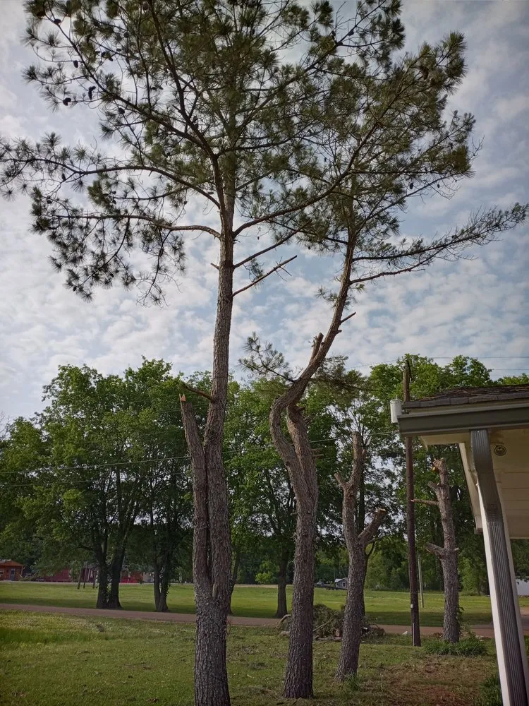 Custom landscape design in Pickens, MS - Loyal Lawn Care