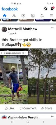 Loyal Lawn Care