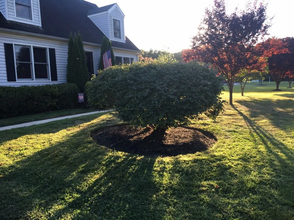 Custom landscaping services for beautiful yards in Pennsville, NJ by Loyal Lawn Design