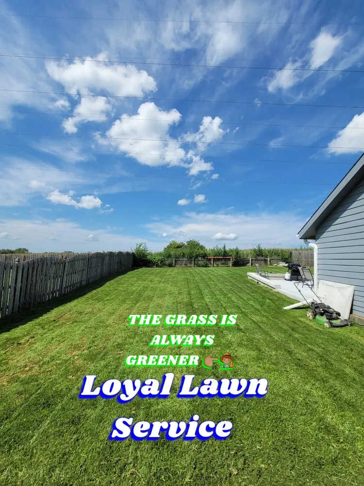 Custom yard cleanup service for year-round maintenance across Omaha, NE - Loyal Lawn Services
