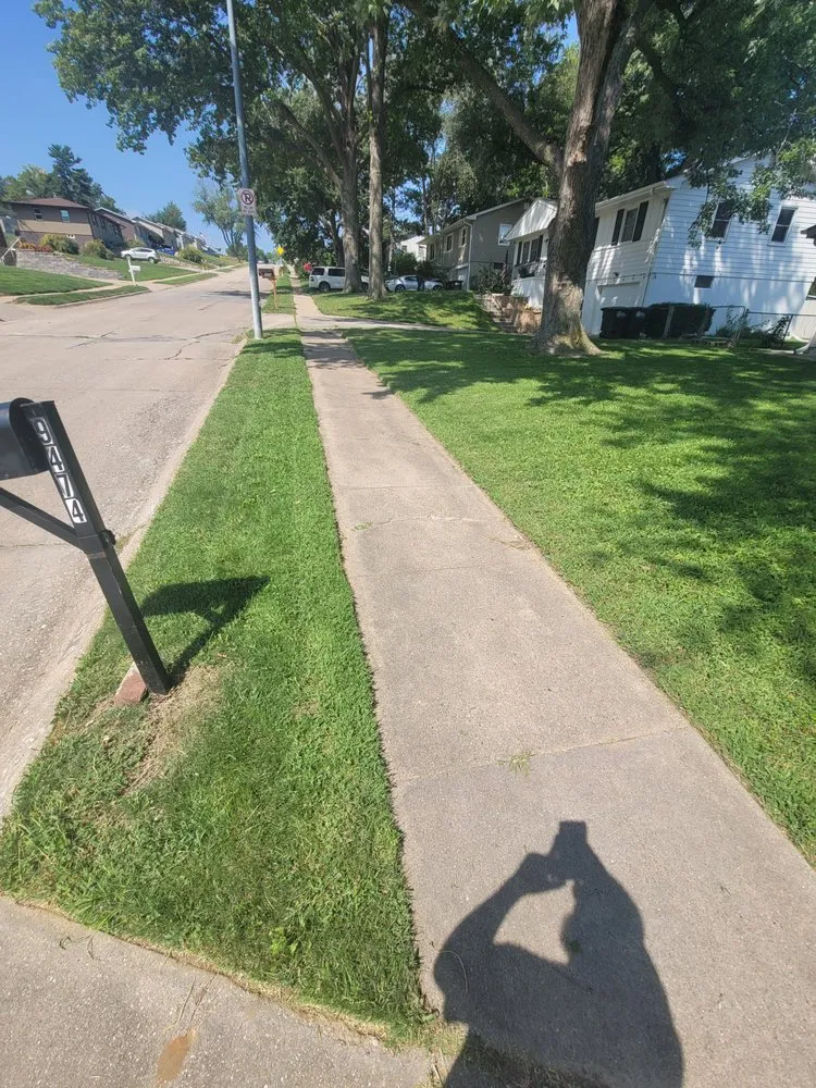 Reliable landscape design for outdoor upgrades across Omaha, NE - Loyal Lawn Services