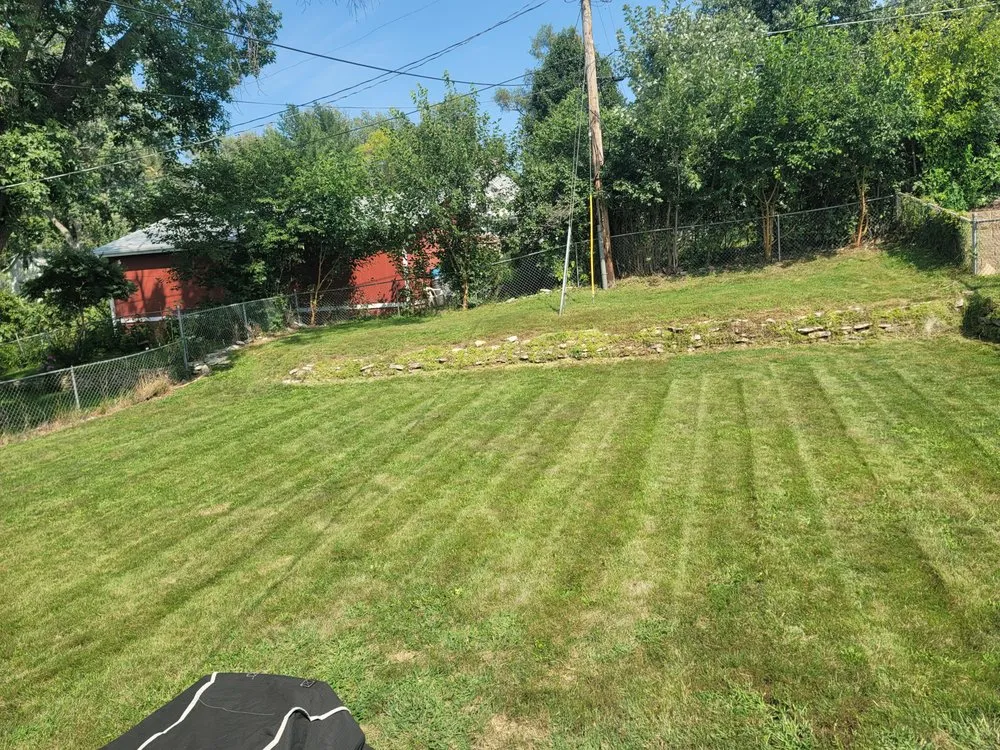 Expert landscaping services in Omaha, NE by Loyal Lawn Services