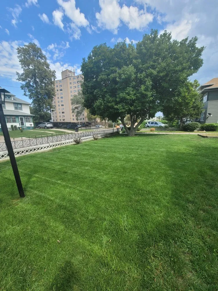 Professional landscaping services in Omaha, NE by Loyal Lawn Services