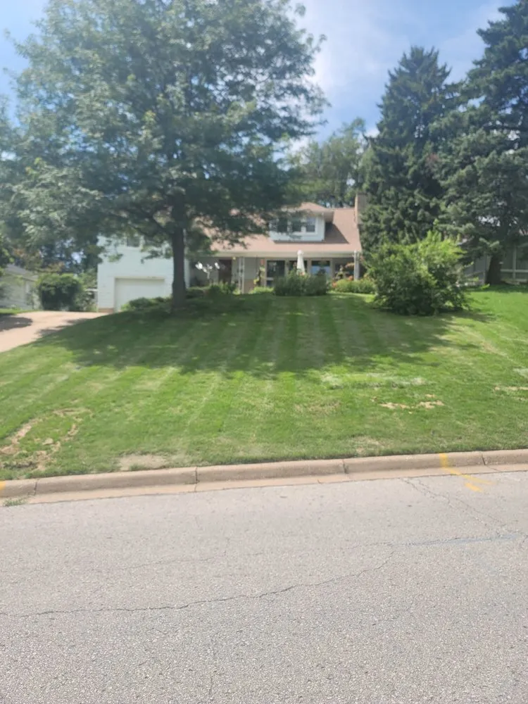Top-rated yard cleanup service in Omaha, NE - Loyal Lawn Services